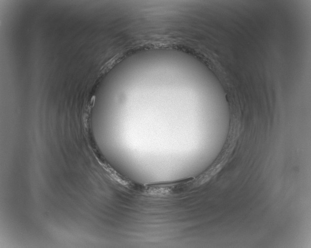 X0000078840576200611131001