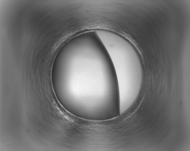 X0000078840577200611131000