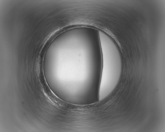 X0000078840580200611131000