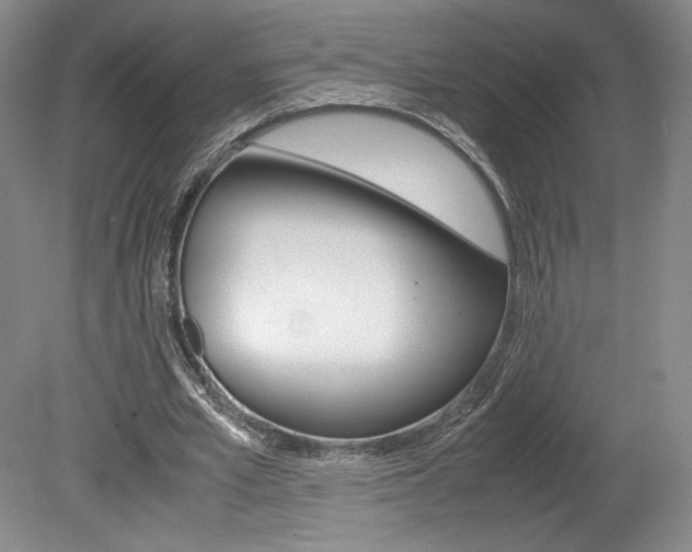 X0000078840581200611131000
