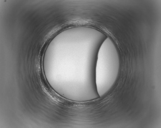 X0000078840582200611131000