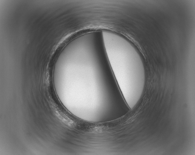 X0000078840584200611131000