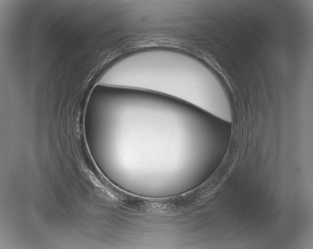 X0000078840585200611131000