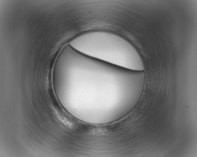 X0000078840586200611131000