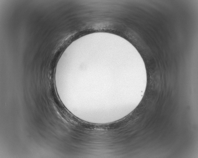 X0000078840592200611131000
