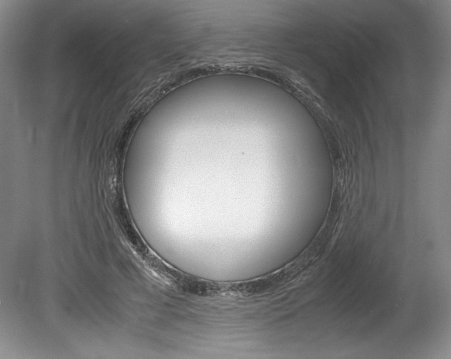 X0000078840593200611131000