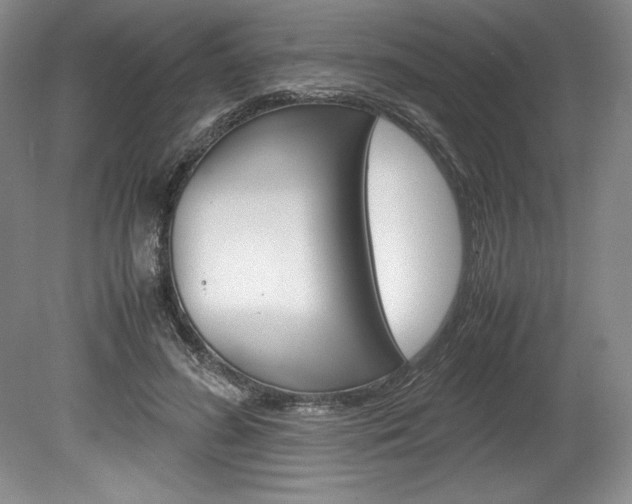 X0000078840596200611131000