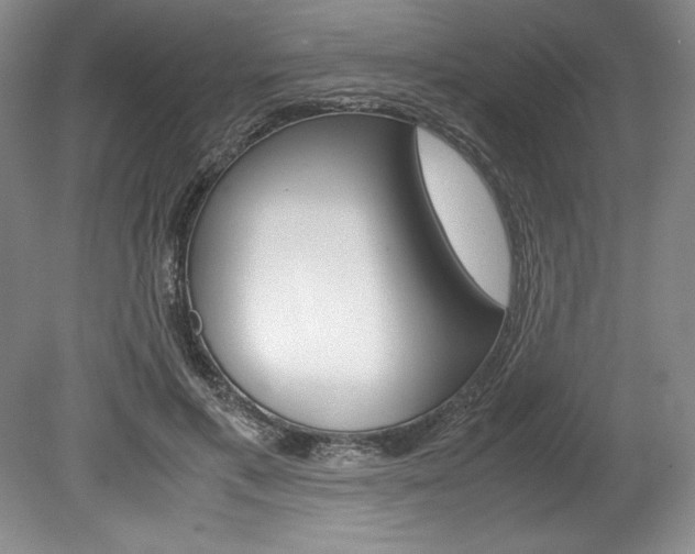 X0000078840597200611131000