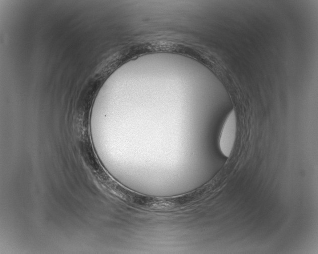 X0000078840599200611131000