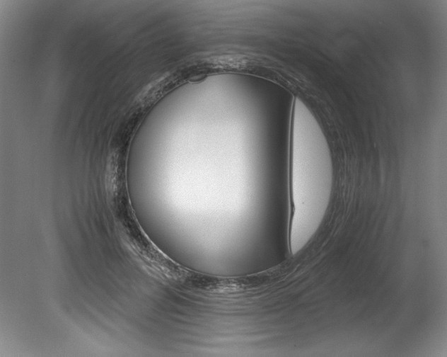 X0000078840600200611131000