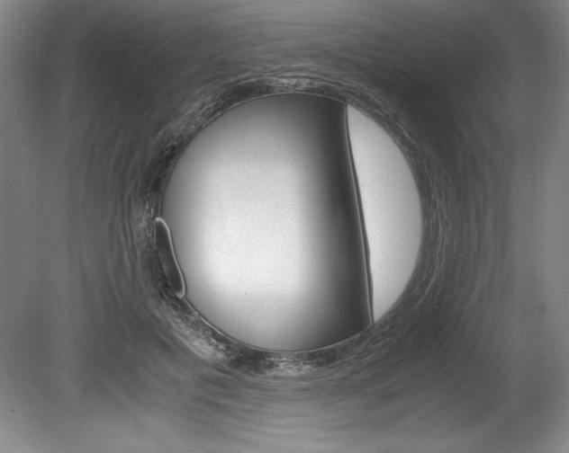 X0000078840601200611131000