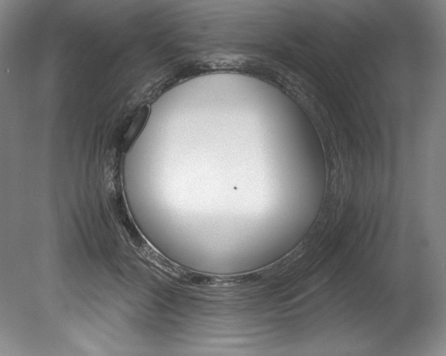 X0000078840604200611130959