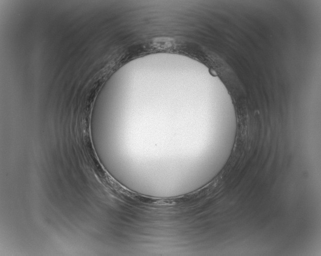 X0000078840606200611130959
