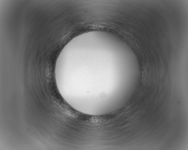 X0000078840608200611130959