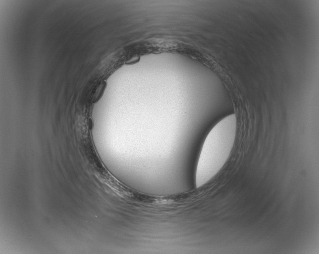 X0000078840609200611130959
