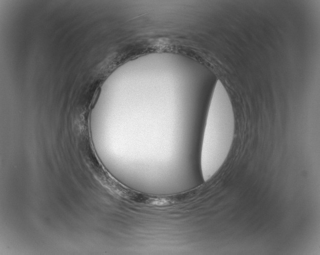 X0000078840611200611130959