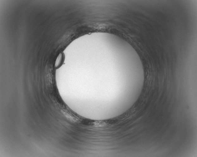 X0000078840612200611130959