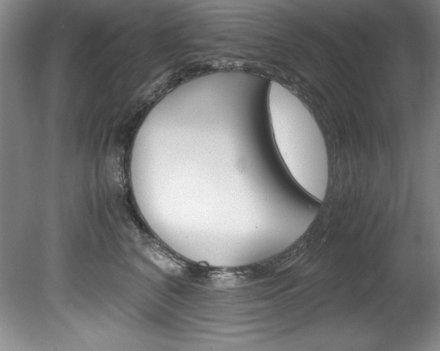 X0000078840616200611130959