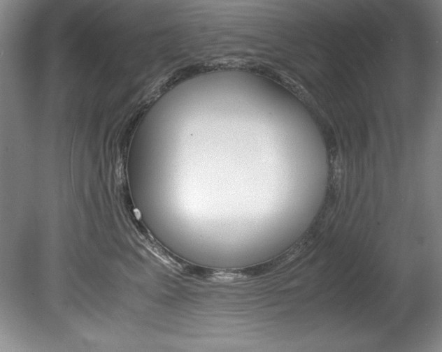 X0000078840617200611130959