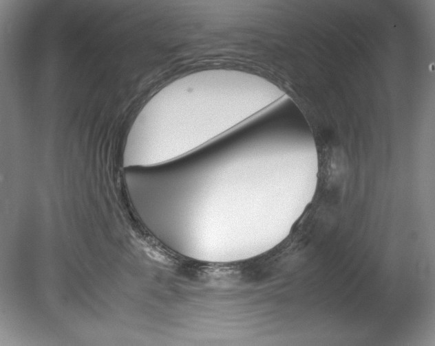 X0000078840619200611130959