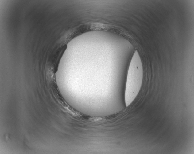 X0000078840621200611130959