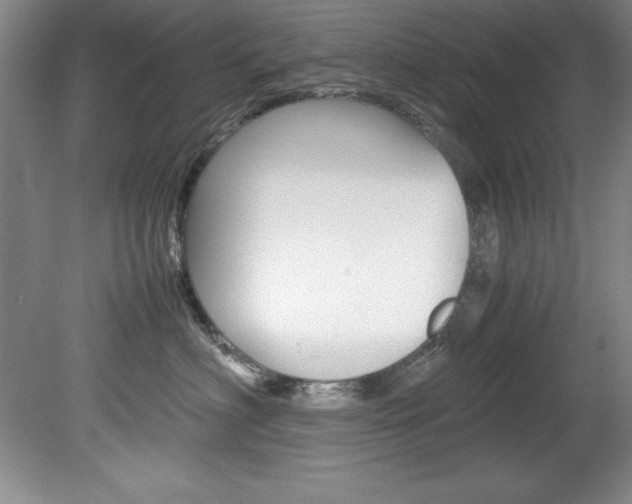 X0000078840622200611130959