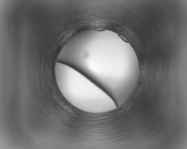 X0000078840623200611130959