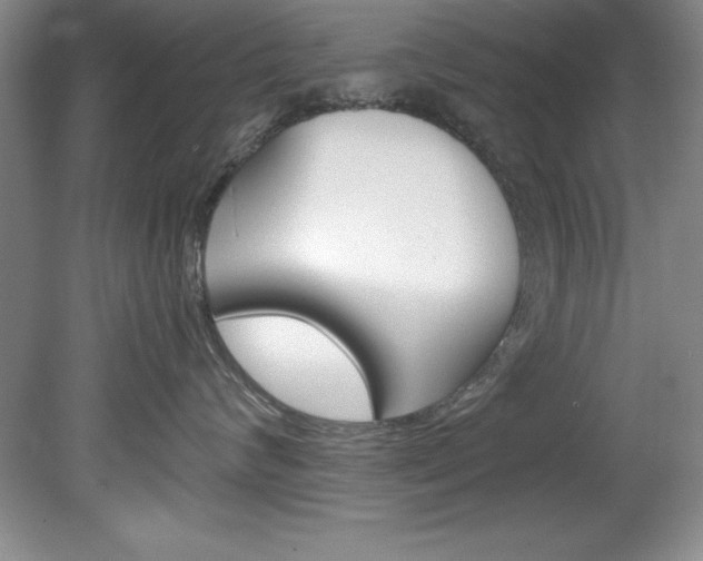 X0000078840624200611130959