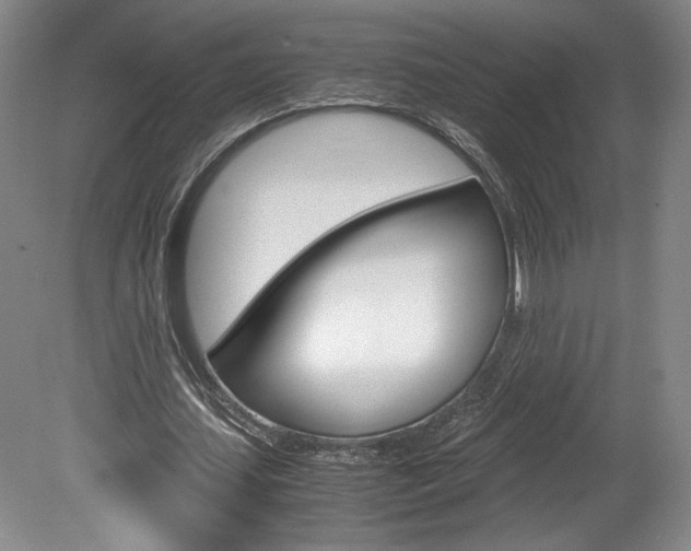 X0000078840627200611130958