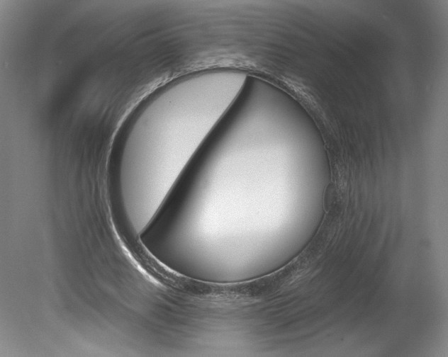 X0000078840630200611130958