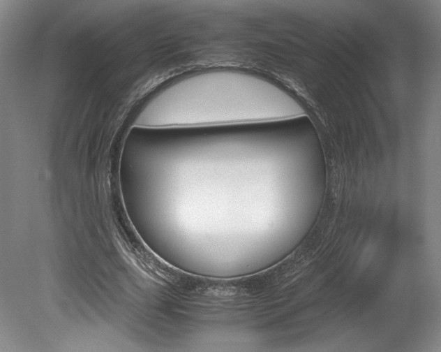 X0000078840631200611130958