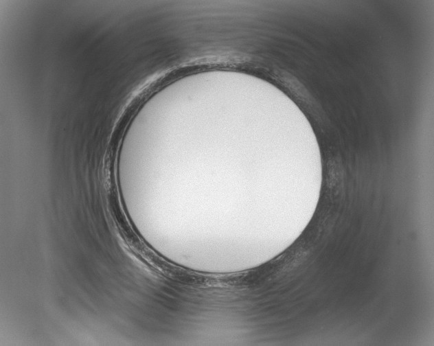 X0000078840632200611130958