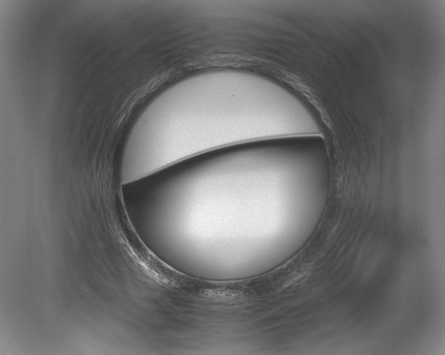 X0000078840633200611130958