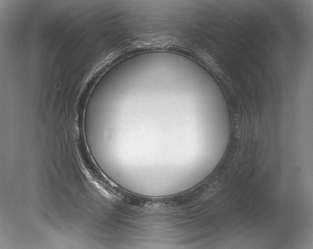 X0000078840634200611130958