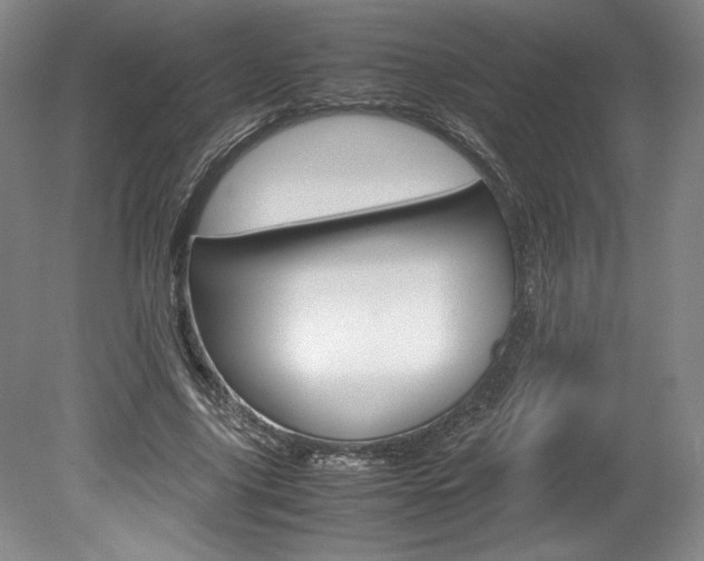 X0000078840635200611130958
