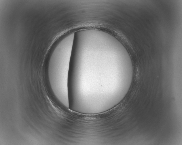 X0000078840636200611130959