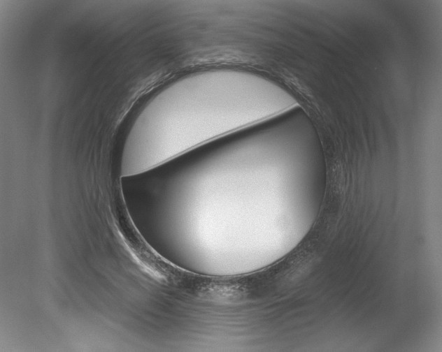 X0000078840638200611130959