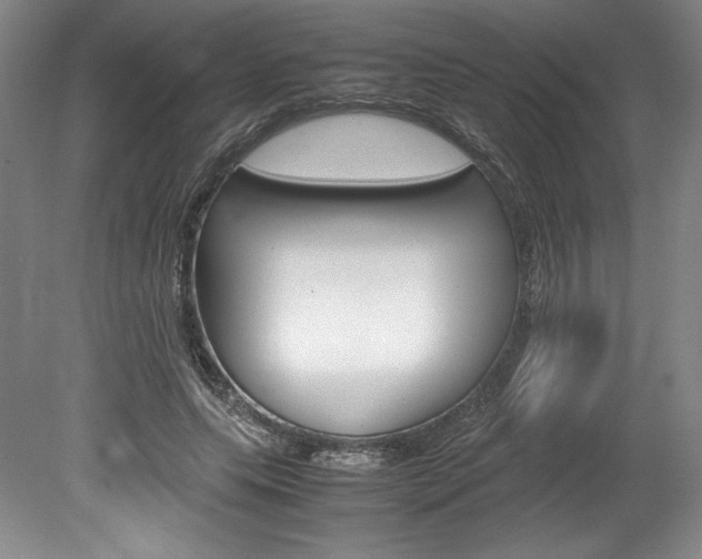 X0000078840639200611130959