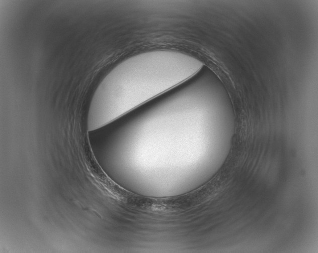 X0000078840641200611130959