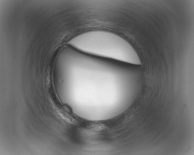 X0000078840642200611130959