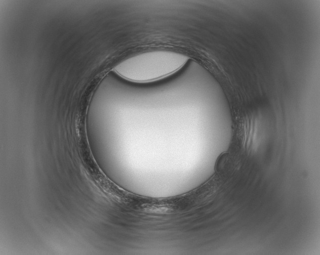 X0000078840643200611130959