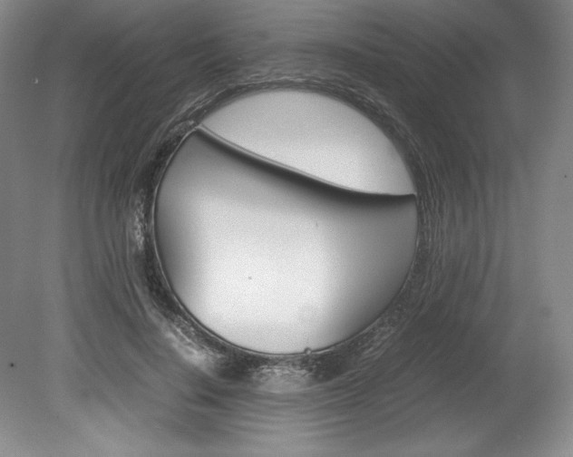 X0000078840644200611130959