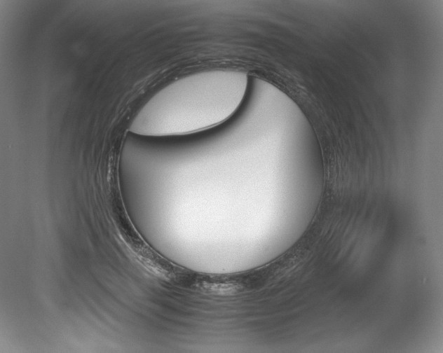 X0000078840645200611130959