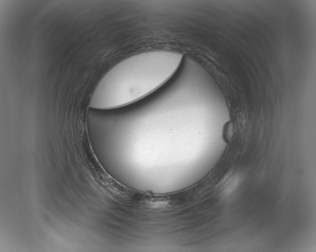 X0000078840651200611130959