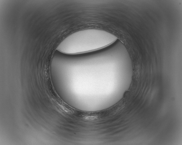 X0000078840653200611130959