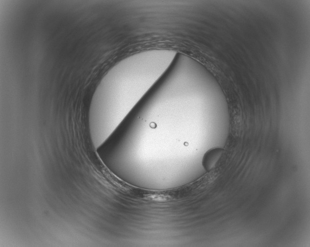 X0000078840654200611130959