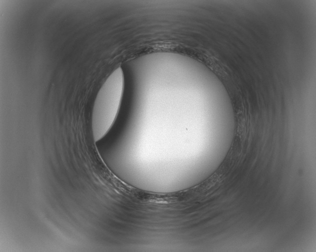 X0000078840655200611130959