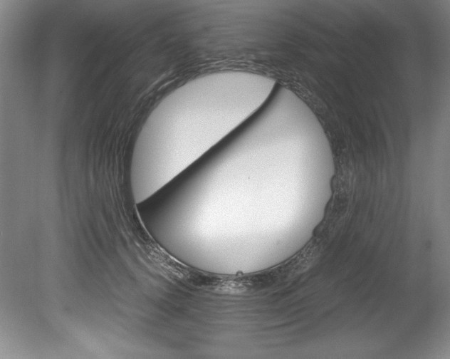 X0000078840656200611130959