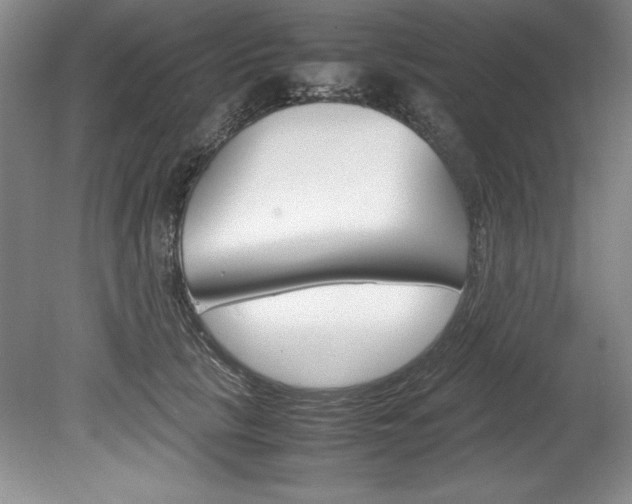 X0000078840657200611130959