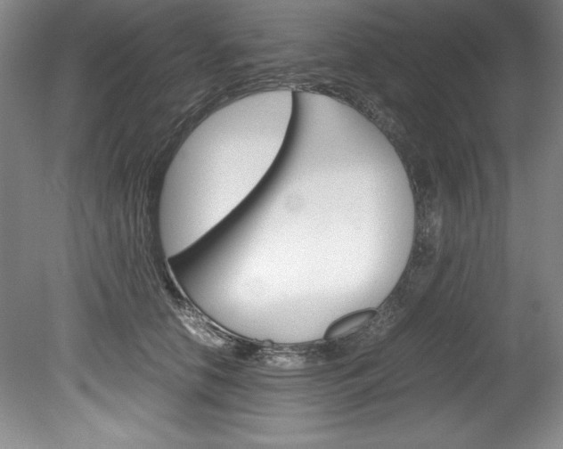 X0000078840658200611130959